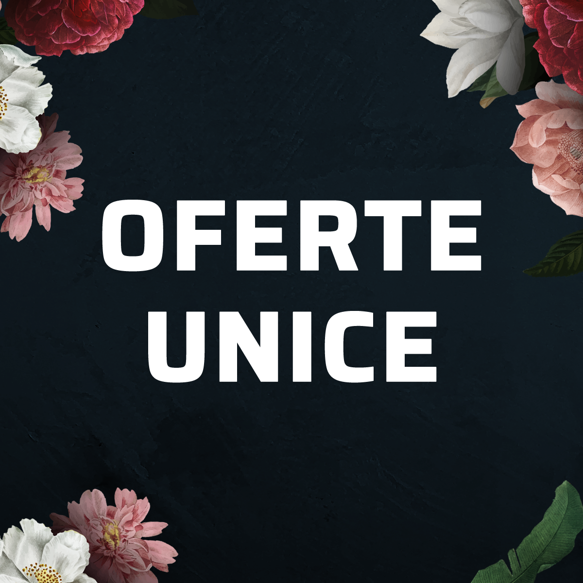 OFERTE UNICE