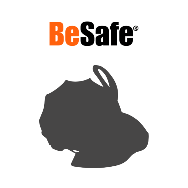 BeSafe